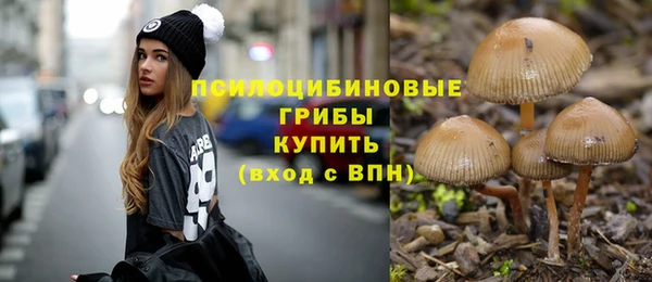 молекула духа Алексеевка