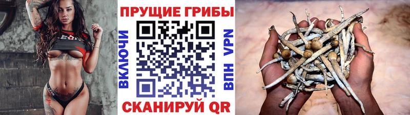 Галлюциногенные грибы мицелий  Ак-Довурак 